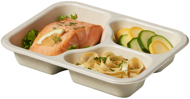 Compostable Tray with Salmon Zucchini and Noodles, uncovered
