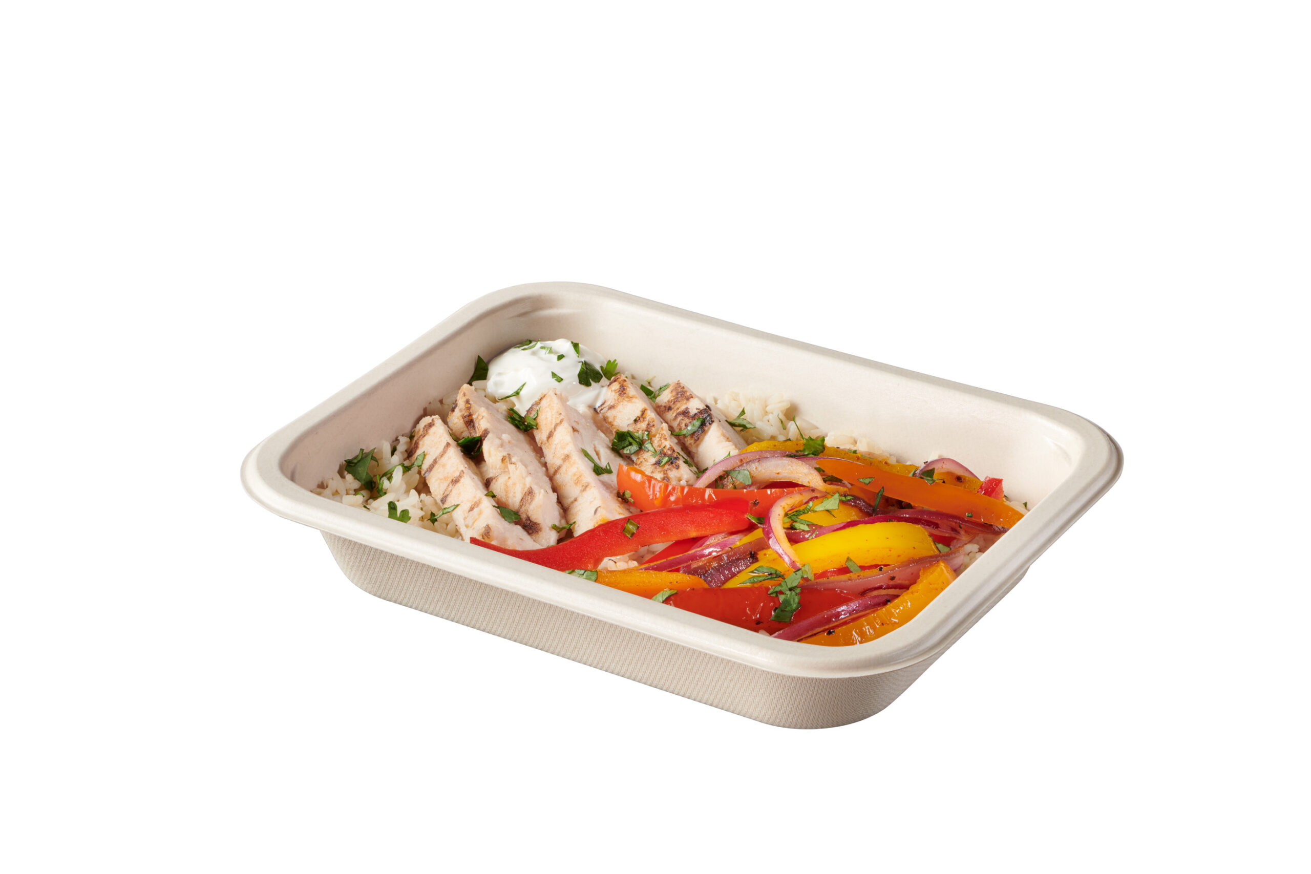 Compostable Food Tray with Fajita, uncovered
