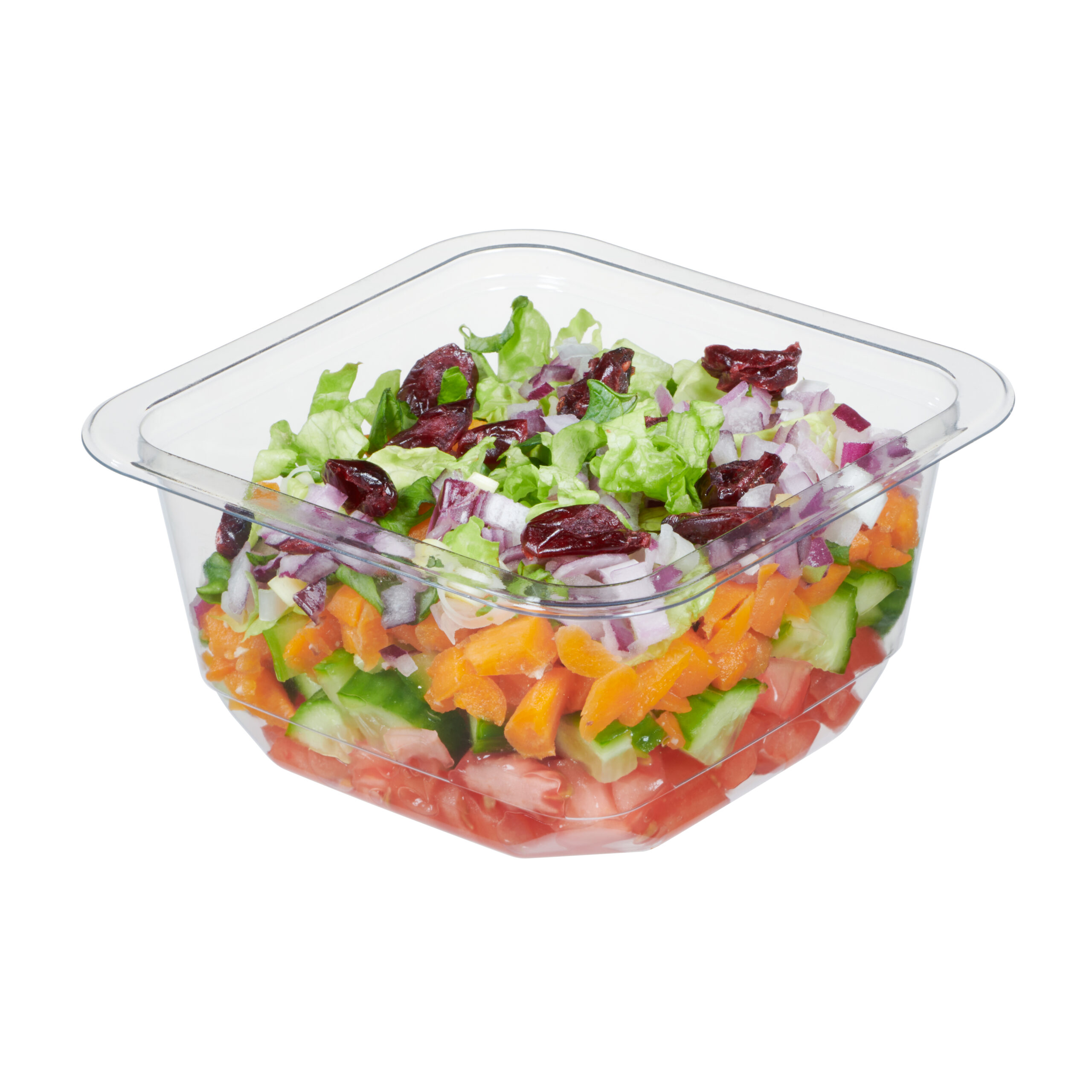 Plastic food tray Layered Salad