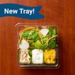 62197 1 C Plastic Cold w Insert Salad Turkey Ranch Cheese wood homepage new